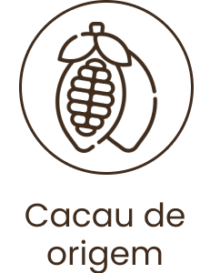 Cacau de origem